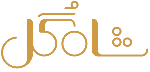 دانلود سریال شاه گل با اجرای مهران مدیری کامل | قسمت 1 تا 5